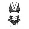 Жіноча білизна Комплект Obsessive ALESSYA SET bra. garter belt & panties Чорний