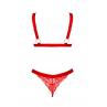 Жіноча білизна Комплект Obsessive ELIANES SET bra & panties Червоний колір