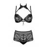 Жіноча білизна Комплект Obsessive ELIZENES SET bra & shorties Чорний колір