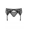 Жіноча білизна Пояс Obsessive CHARMS garter belt & thong Чорний колір