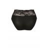 Anita 1304 Труси "Essential Lace" Чорний колір