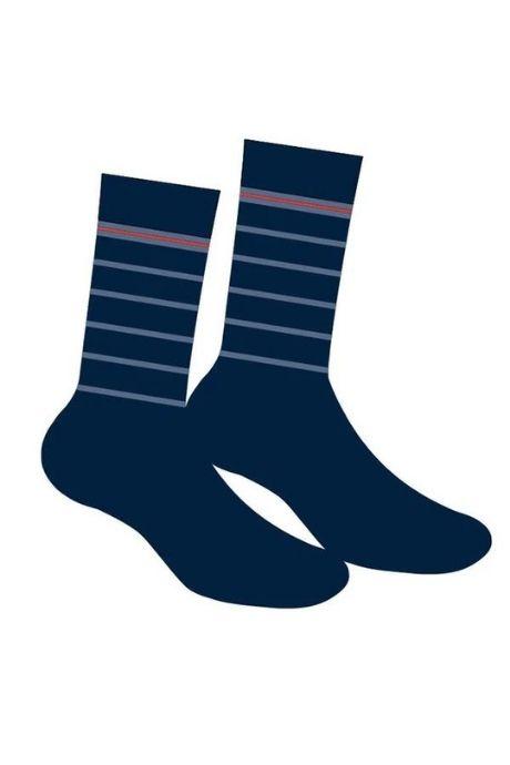 Cornette Premium Чоловічі шкарпетки A 46 принт синій колір