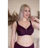 ЭЛИТА Бюстгальтер 241 СЛИВОВЕ ВИНО колір