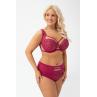 Gorsenia Трусы DAYANA F006 розовый