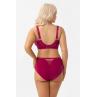 Gorsenia Трусы DAYANA F006 розовый