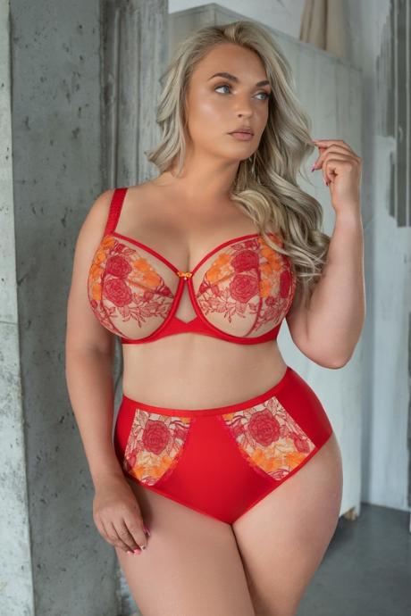 Kris Line предзаказ Трусы G SWEETHEART RED BRIEFSHIGHWAIST червоний колір