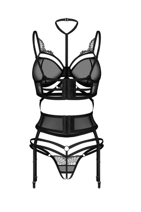 Жіноча білизна Комплект Obsessive PREMISIS SET bra crot thong & garter Чорний колір