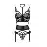 Жіноча білизна Комплект Obsessive PREMISIS SET bra crot thong & garter Чорний колір