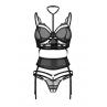 Жіноча білизна Комплект Obsessive PREMISIS SET bra crot thong & garter Чорний колір