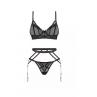 Жіноча білизна Комплект Obsessive EURIDIA SET bra garter belt & thong Чорний