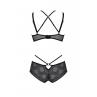 Комплект Passion DROSERA BIKINI черный